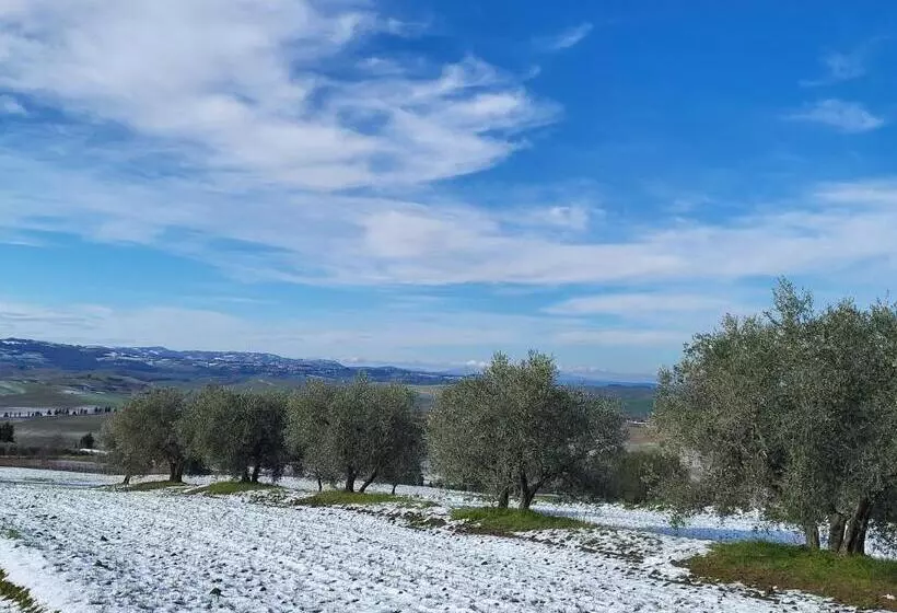 ベッドアンドブレックファースト Palazzetto Del Pittore