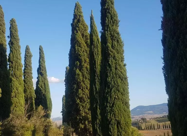 ベッドアンドブレックファースト Palazzetto Del Pittore