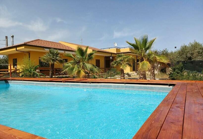 住宿加早餐  Turtle Island