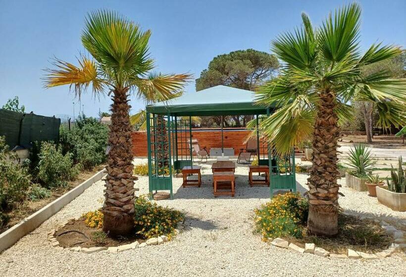 住宿加早餐  Turtle Island