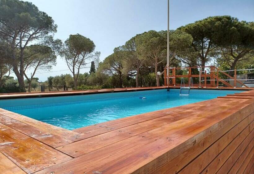 住宿加早餐  Turtle Island