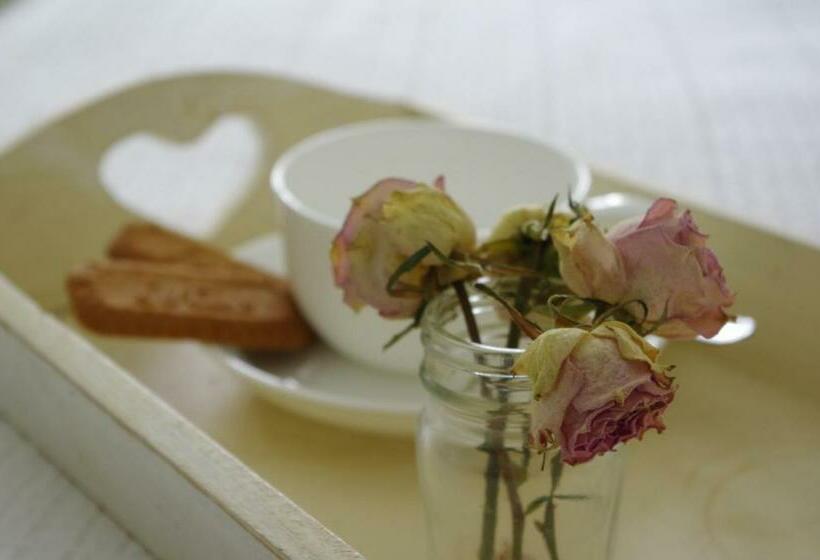 مبيت وإفطار Windy Willums