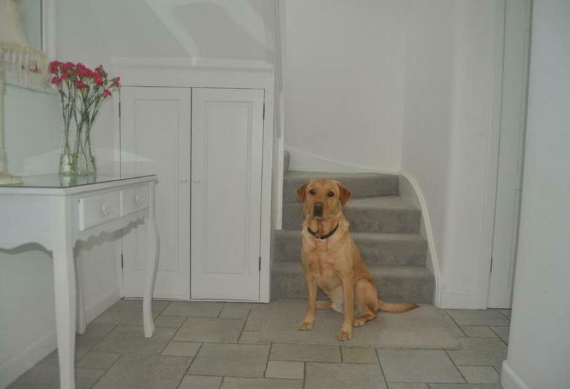 مبيت وإفطار Windy Willums