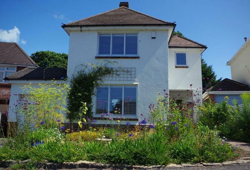 مبيت وإفطار Windy Willums