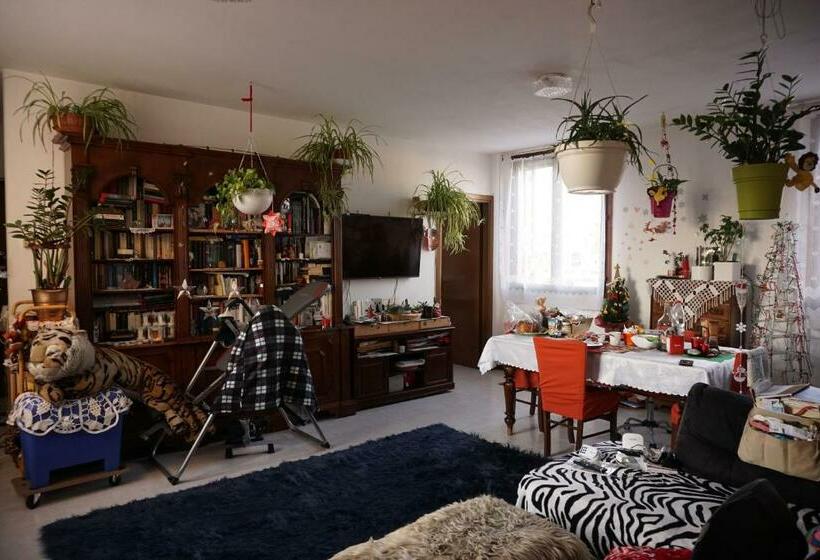 פנסיון Camera Monica