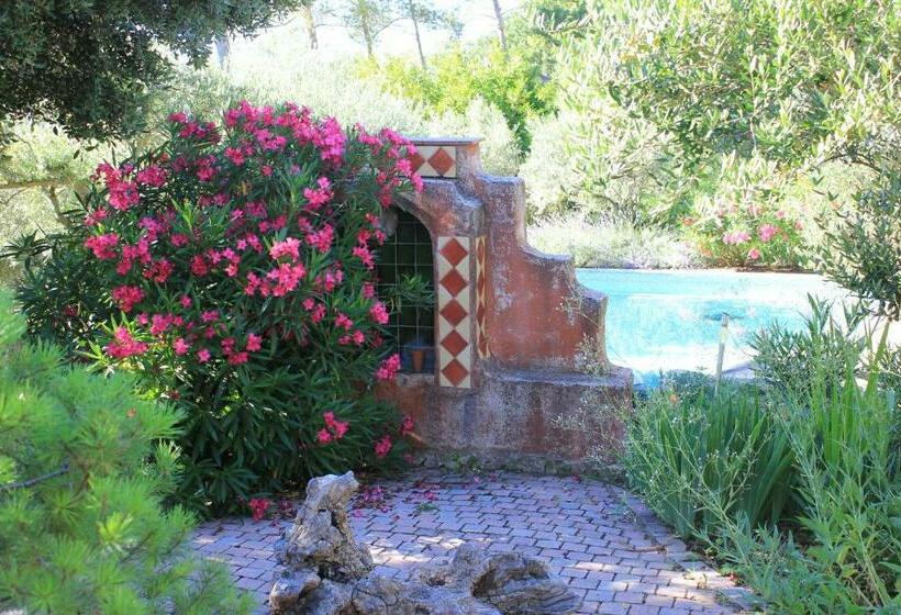 بنسيون Le Baou