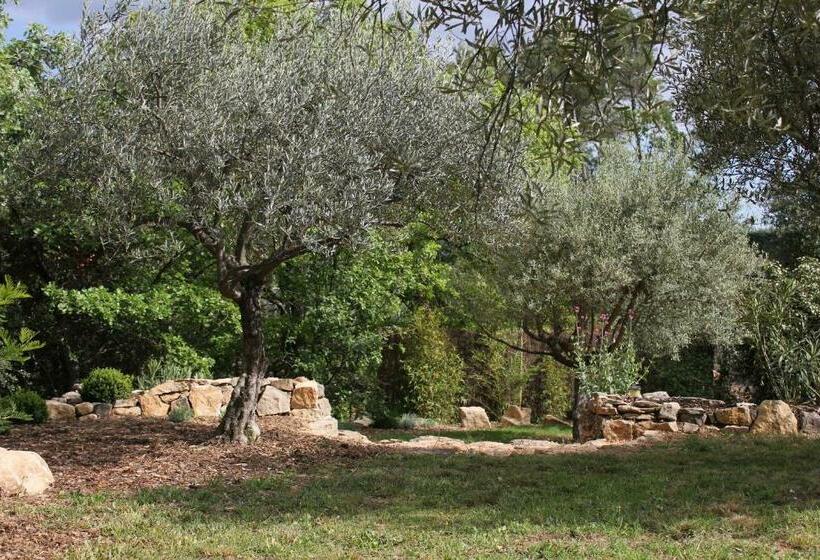 بنسيون Le Baou