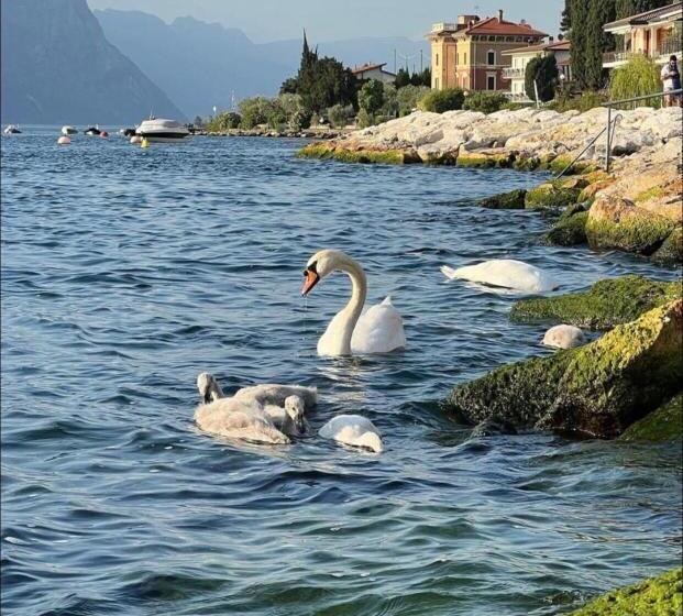 펜션 Villa Torre   Atmosfera Romantica