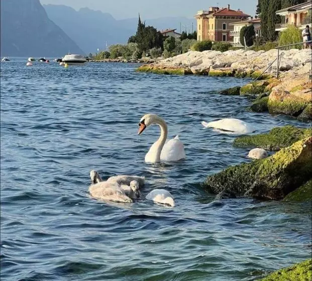 ペンション Villa Torre   Atmosfera Romantica