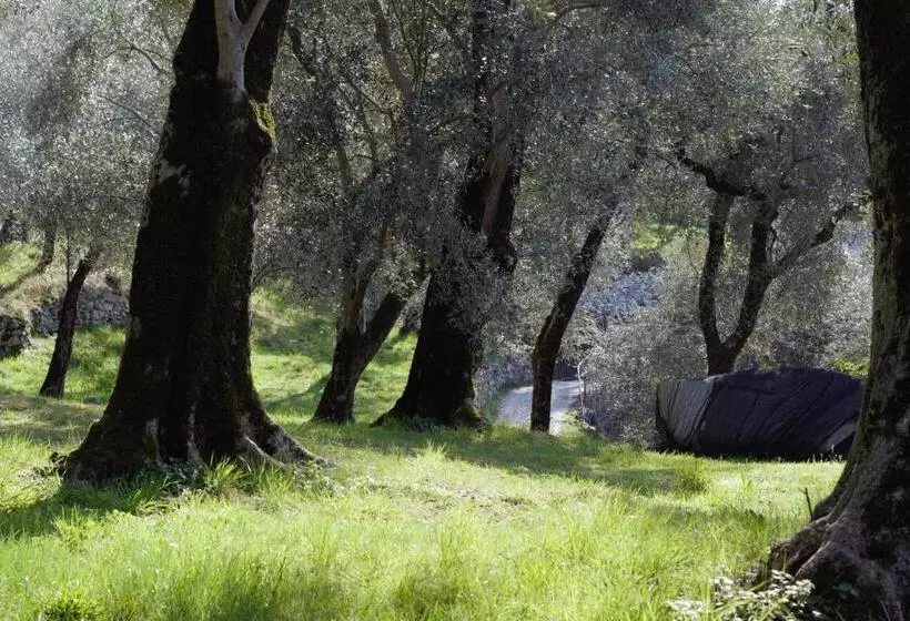 ペンション Villa Torre   Atmosfera Romantica