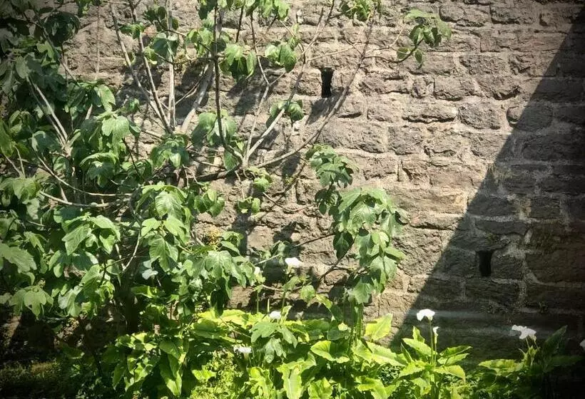 ペンション Villa Torre   Atmosfera Romantica