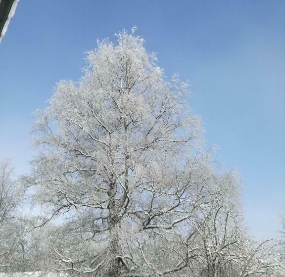 צימר A La Reid Paisible