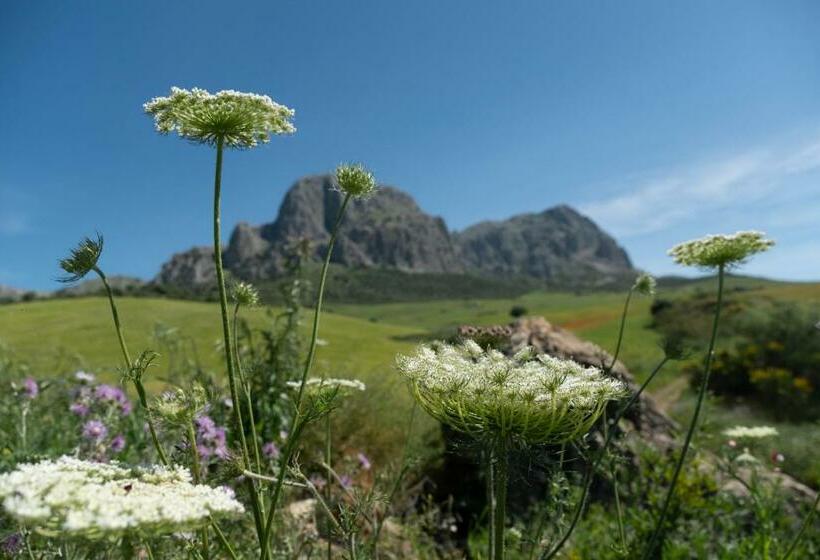 Bed and Breakfast Finca Gordo