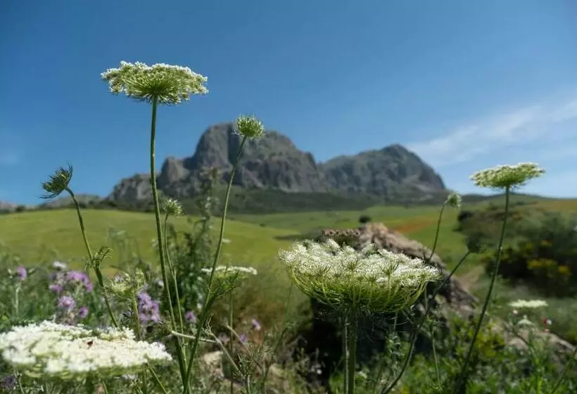 Aamiaismajoitus (B&B) Finca Gordo