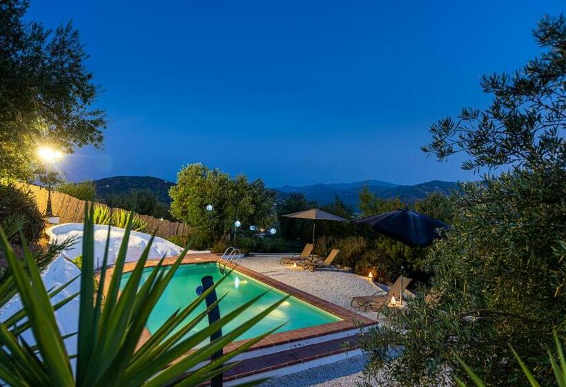 Bed and Breakfast Finca Gordo