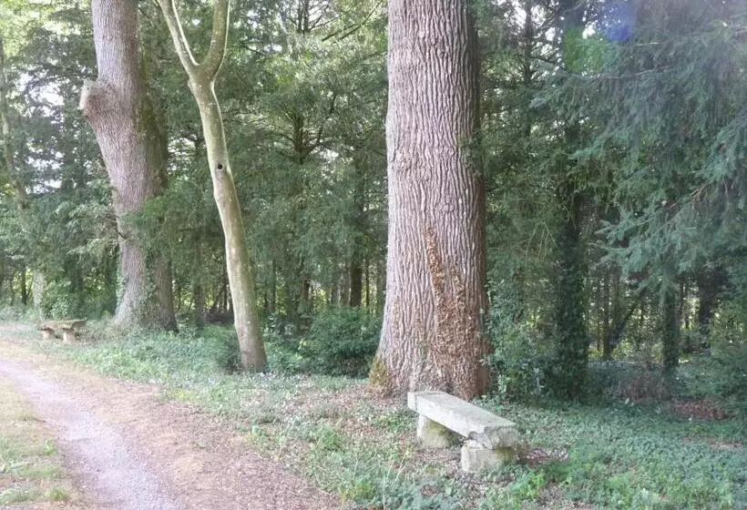 Aamiaismajoitus (B&B) Chateau De Craon