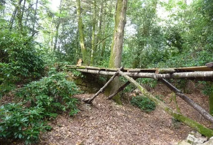 Aamiaismajoitus (B&B) Chateau De Craon