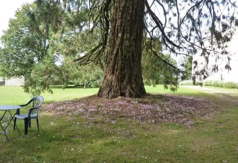 Aamiaismajoitus (B&B) Chateau De Craon