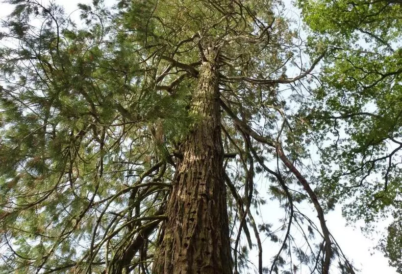 Aamiaismajoitus (B&B) Chateau De Craon