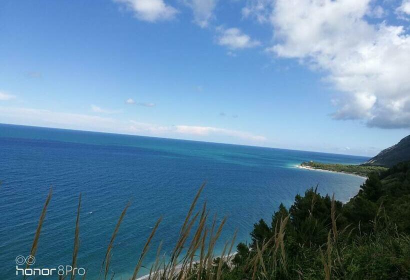 پانسیون Casa Viorica