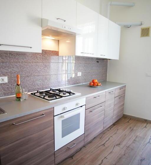 Pension (Hôtel basse catégorie) Casa Viorica