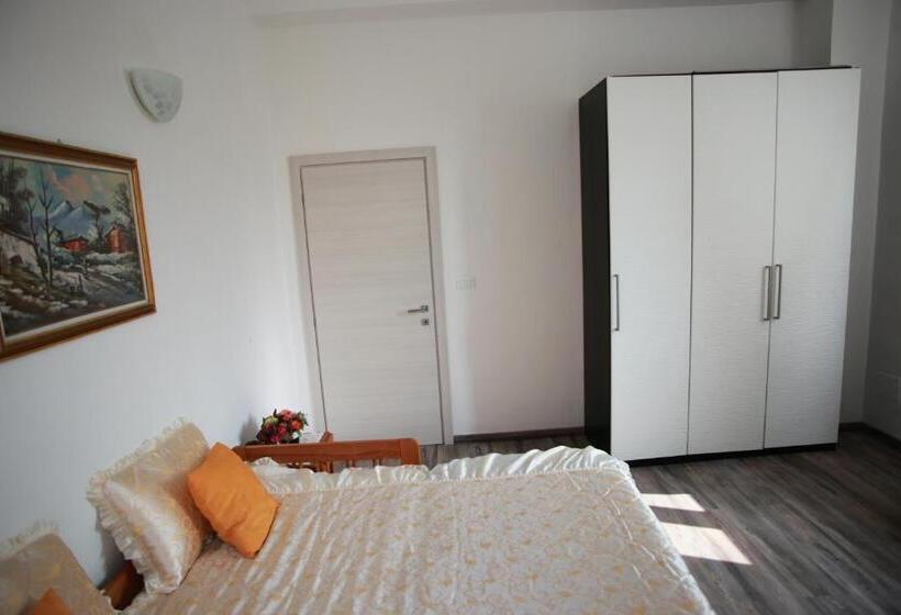 Pension (Hôtel basse catégorie) Casa Viorica