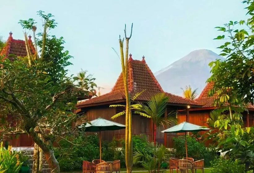 Pension Villa Sindoro Village