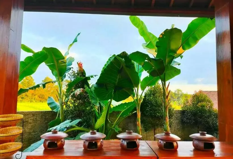 Pension Villa Sindoro Village