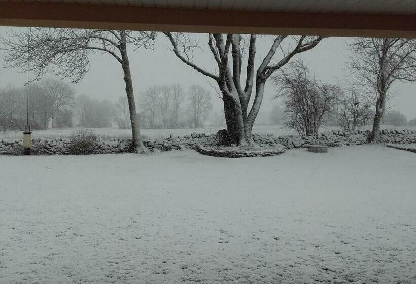 צימר Acaba D Entrar