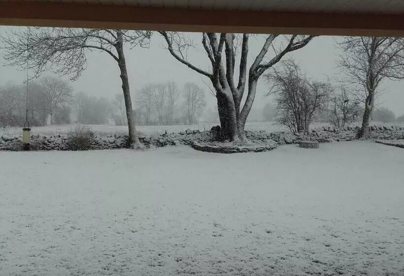 Aamiaismajoitus (B&B) Acaba D Entrar