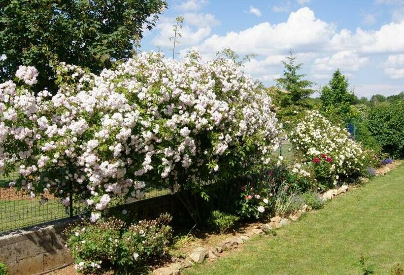 צימר Acaba D Entrar