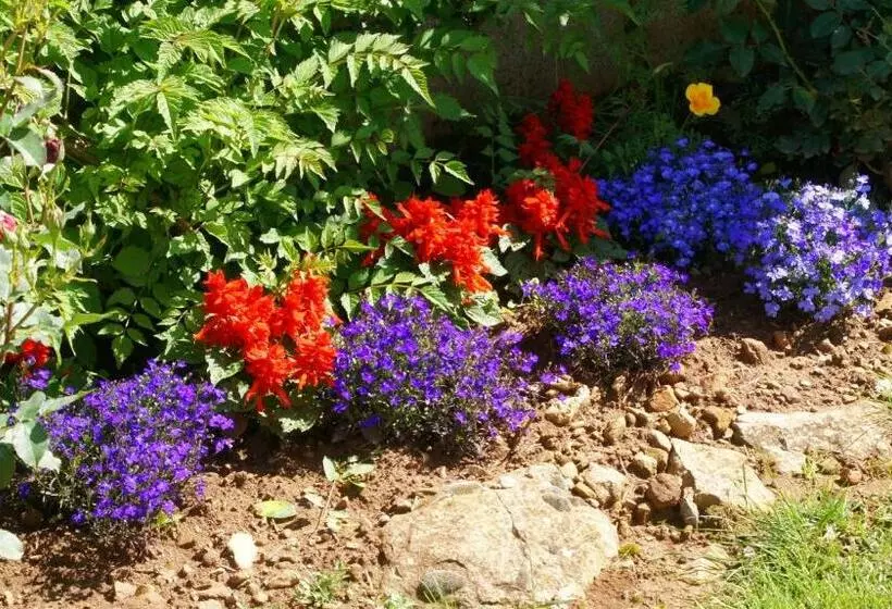 Aamiaismajoitus (B&B) Acaba D Entrar