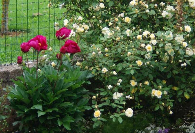 צימר Acaba D Entrar