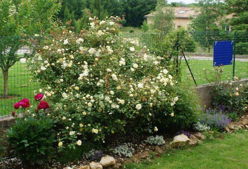 צימר Acaba D Entrar