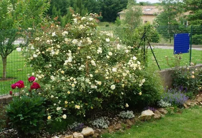 Aamiaismajoitus (B&B) Acaba D Entrar