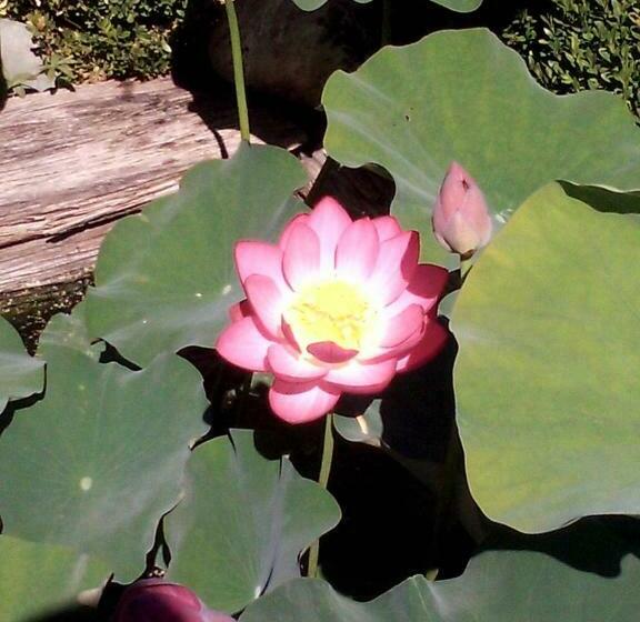 Bed and Breakfast Le Mas Du Caprier