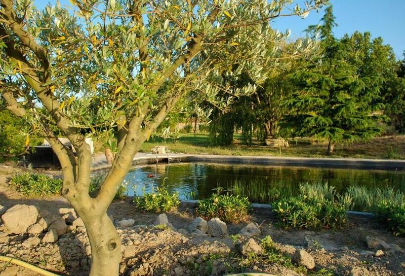 Bed and Breakfast Le Mas Du Caprier