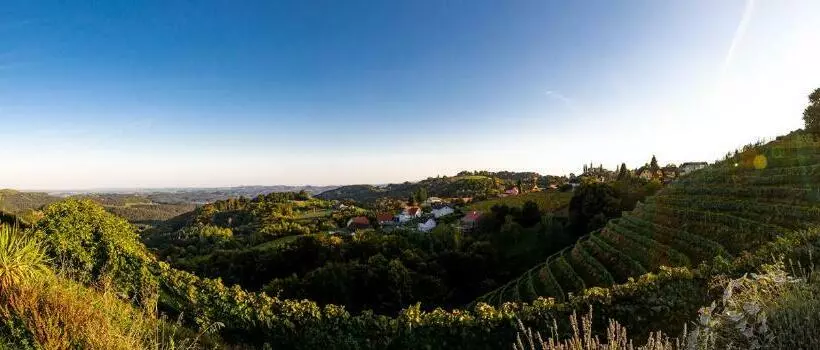 Aamiaismajoitus (B&B) Weingut Albert, Familie Cramer