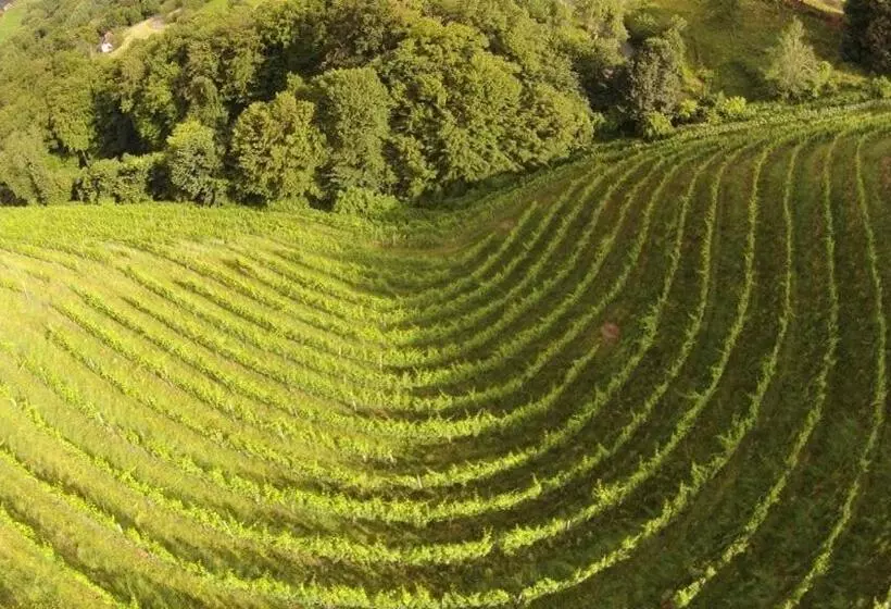 Aamiaismajoitus (B&B) Weingut Albert, Familie Cramer
