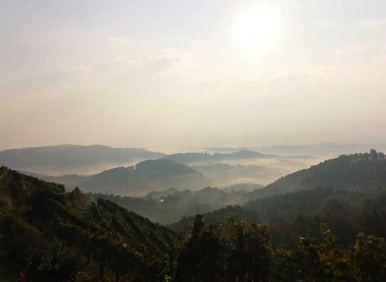 Bed and Breakfast Weingut Albert, Familie Cramer