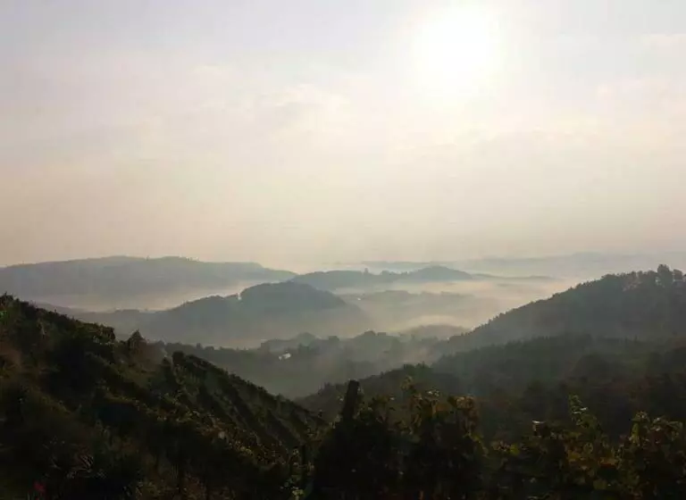 Aamiaismajoitus (B&B) Weingut Albert, Familie Cramer