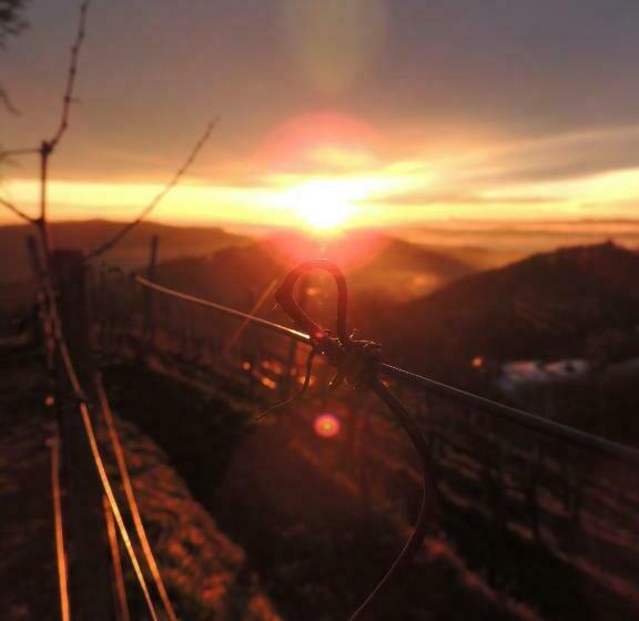 Bed and Breakfast Weingut Albert, Familie Cramer