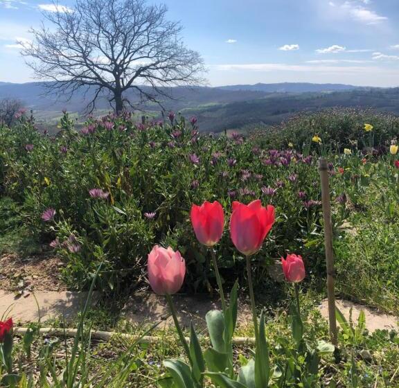 Отель Agriturismo Poggio Monte Saturnia
