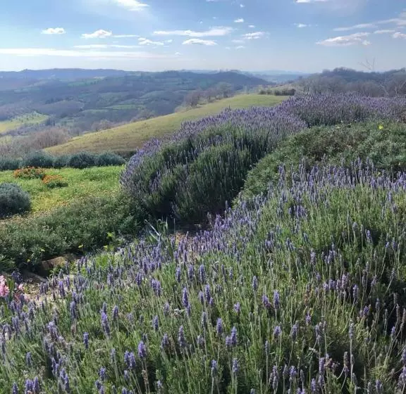 ホテル Agriturismo Poggio Monte Saturnia