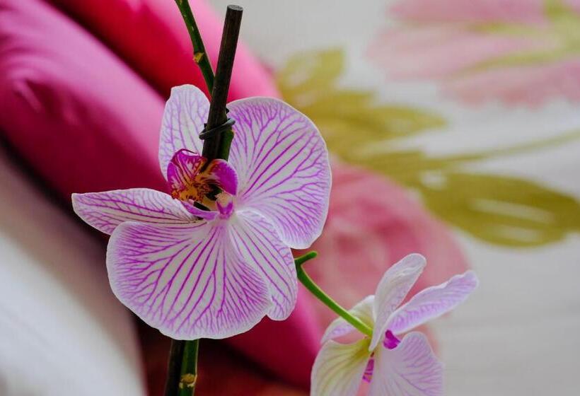 Отель Agriturismo Poggio Monte Saturnia