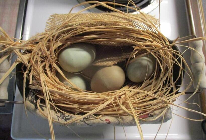 호텔 The Best! Gorgeous Cabin W Antiques For 2, Near Princeton I 77