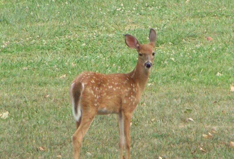 호텔 The Best! Gorgeous Cabin W Antiques For 2, Near Princeton I 77
