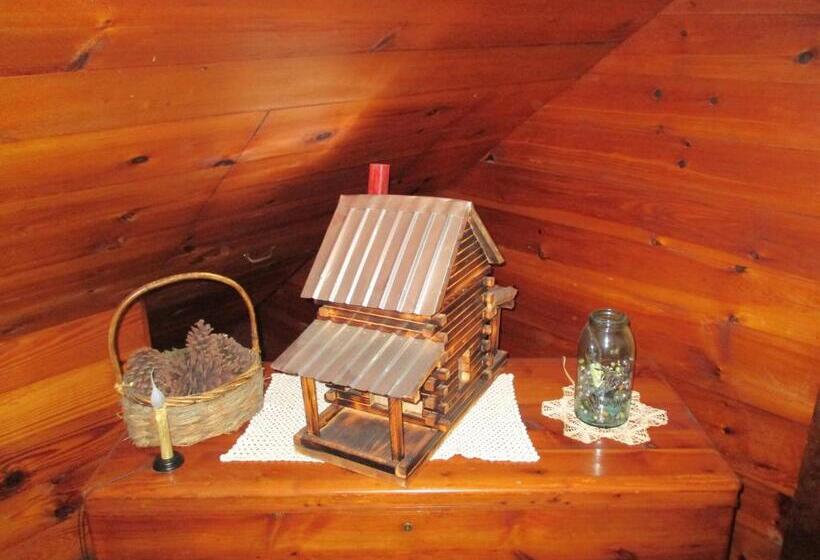 호텔 The Best! Gorgeous Cabin W Antiques For 2, Near Princeton I 77