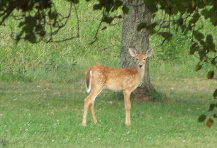 호텔 The Best! Gorgeous Cabin W Antiques For 2, Near Princeton I 77