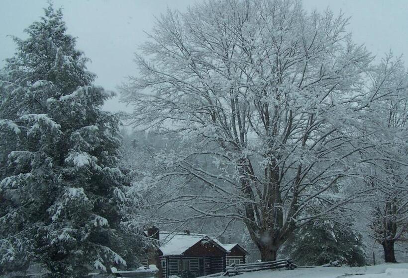 호텔 The Best! Gorgeous Cabin W Antiques For 2, Near Princeton I 77